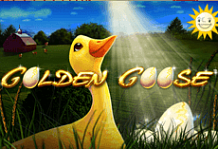 Golden Goose>