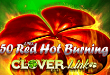 50 Red Hot Burning Clover Link>